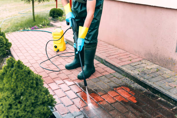 Best Roof Pressure Washing  in Sayre, PA